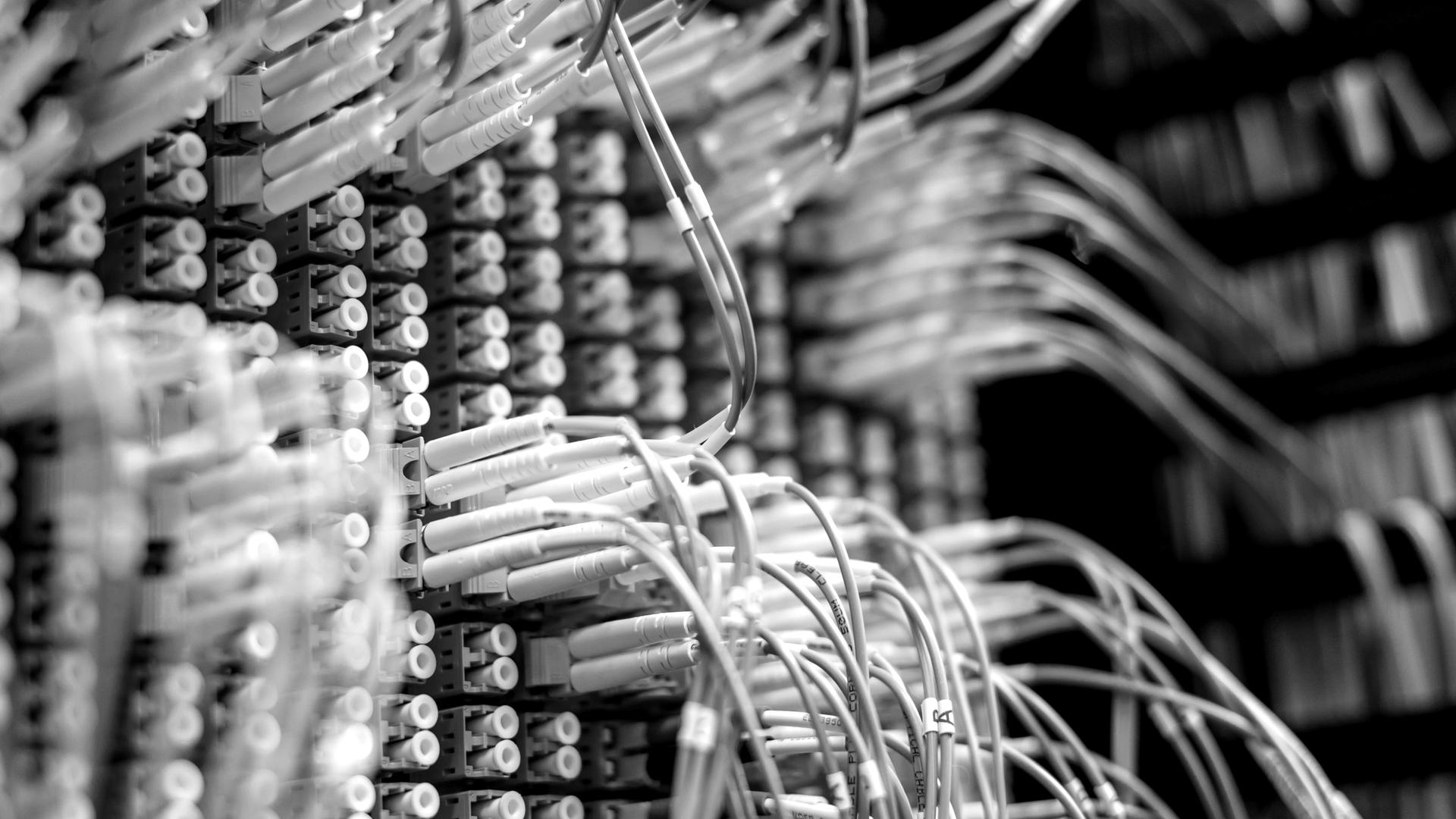 Structured cabling patch panel